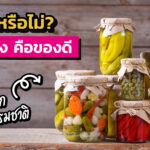 หมักดอง คือของดี โปรไบโอติก จากธรรมชาติ